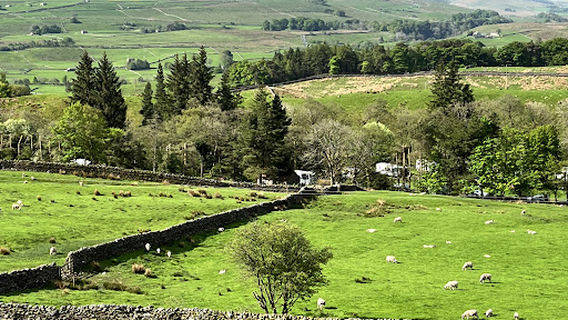 Shaw Ghyll Caravan and Camping
