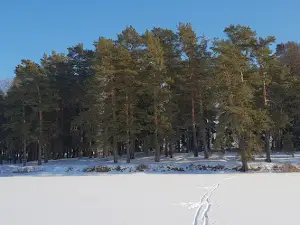 Gorodskoy Park "Naberezhnyy"