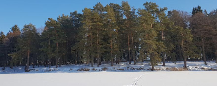 Gorodskoy Park "Naberezhnyy"