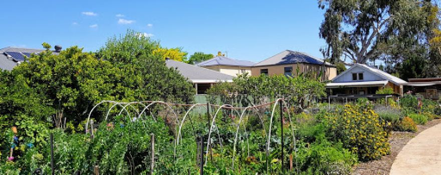 Fern Ave Community Garden