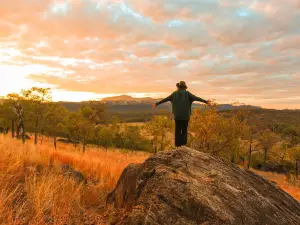 Sandstone Park Carnarvon Gorge