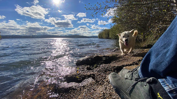 Playa Del Lago De As Pontes