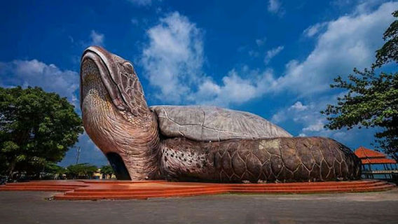 Kura-Kura Ocean Park