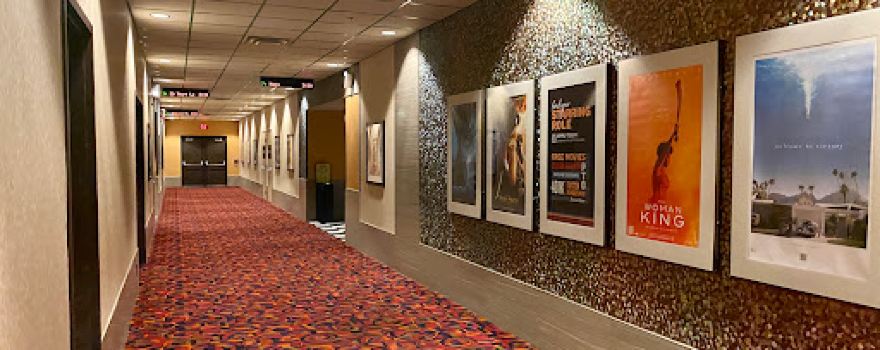 Cinemark Tinseltown Boardman and XD