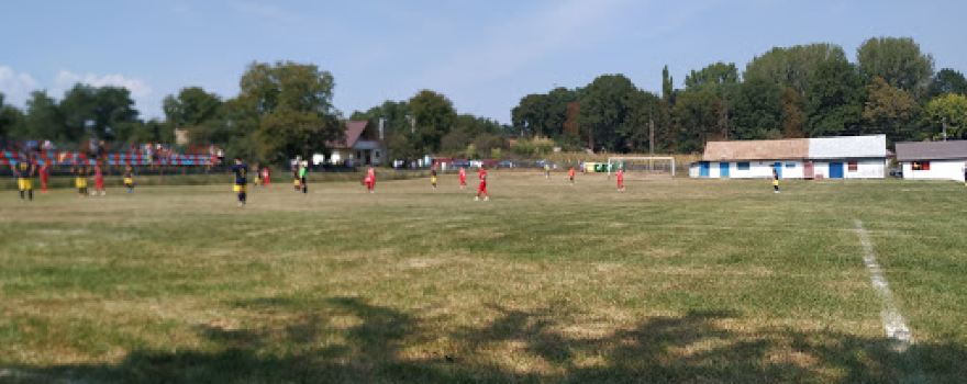 A.S. Moldova Drăgușeni