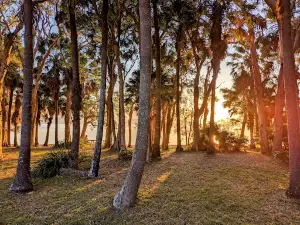 Camp Elim