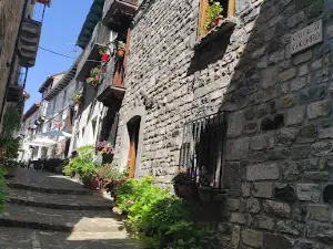 Latido Pirineo