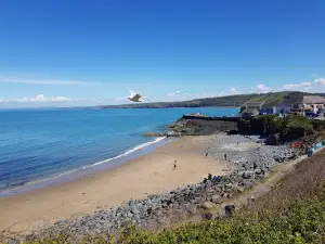 New Quay Dog Friendly Beach