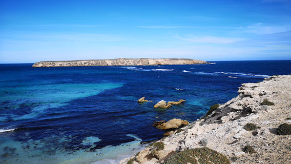 Yangie Bay Walks