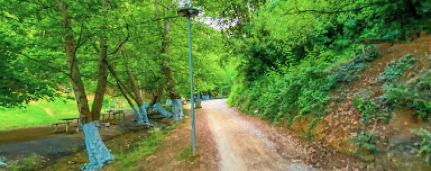 Bayramdere Piknik ve Mesire Alanı
