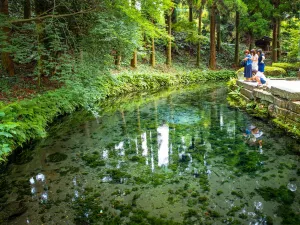 Shirakawa Spring