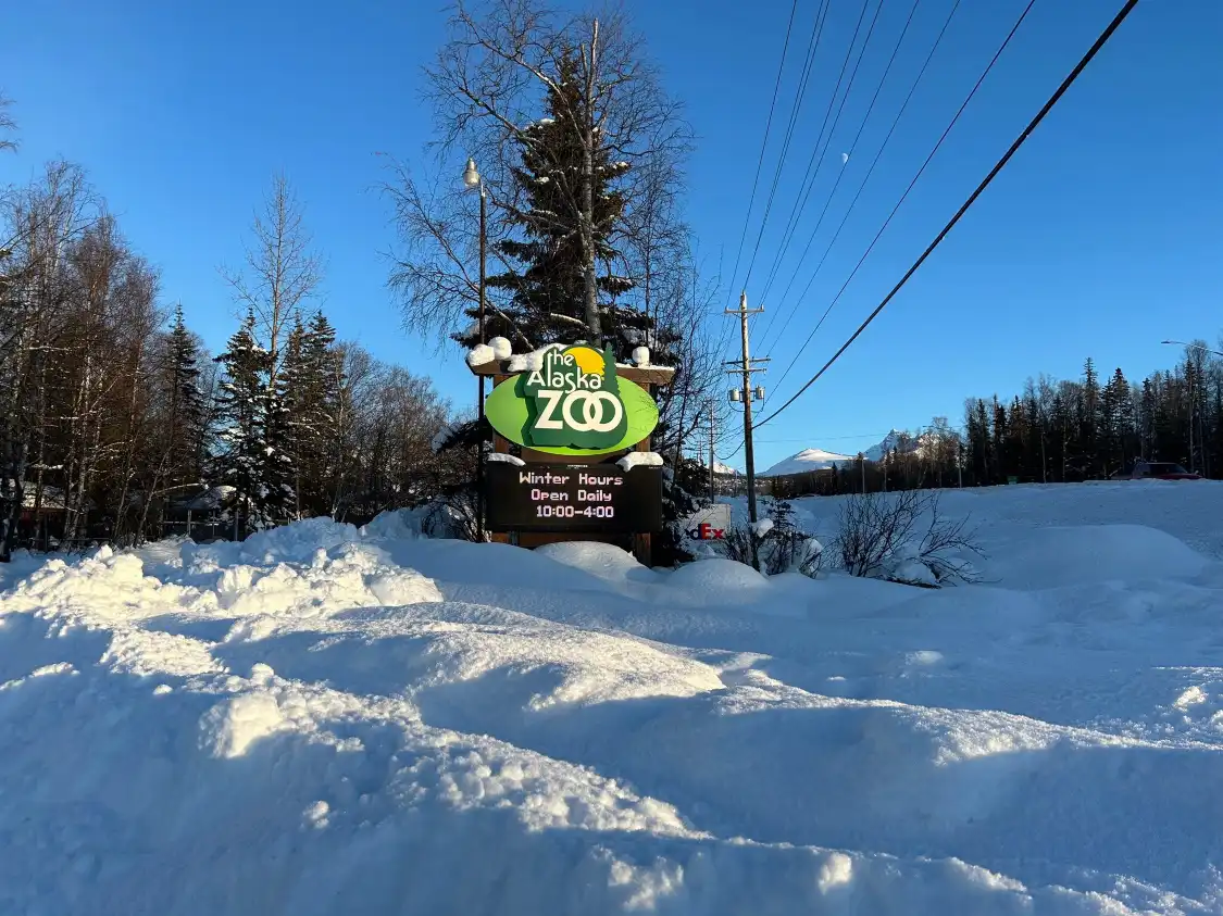 Hotels near Alaska Zoo