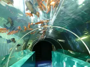 Lakes Aquarium