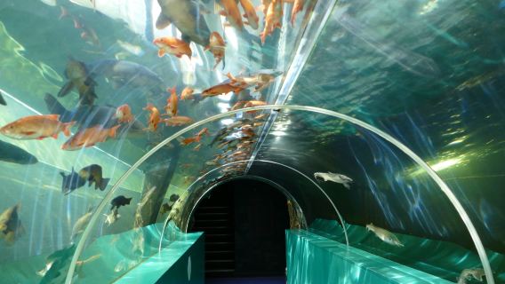 Lakes Aquarium