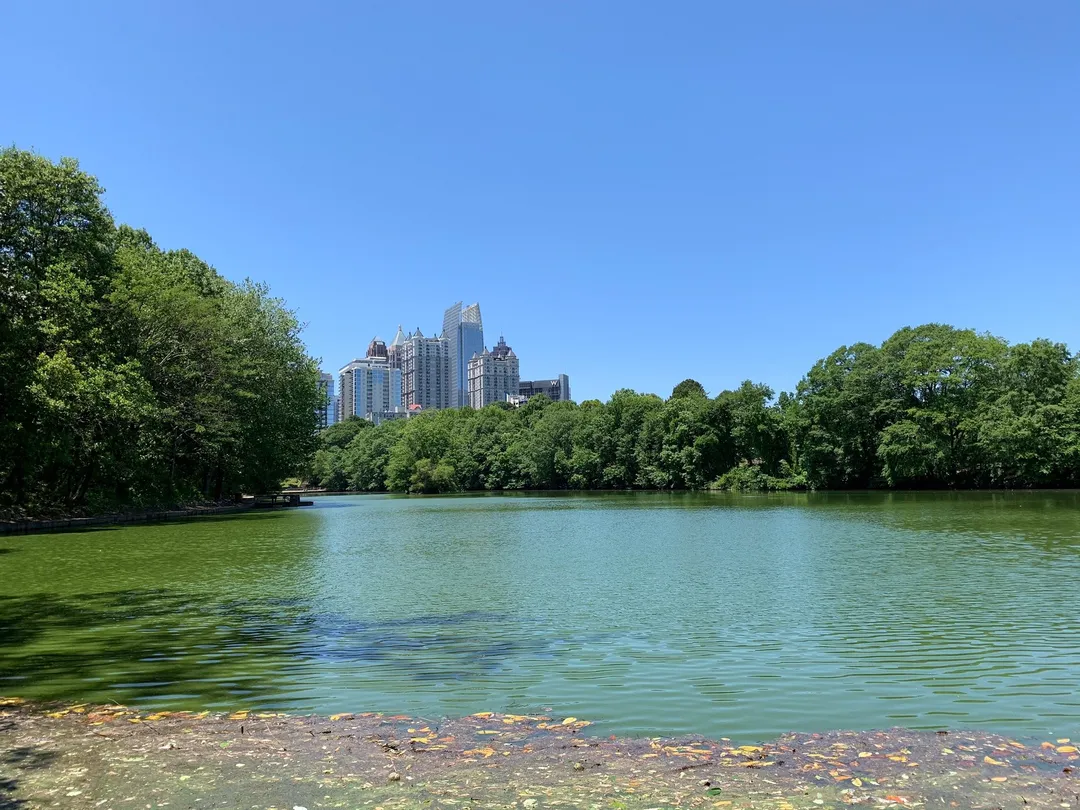 5_Piedmont Park