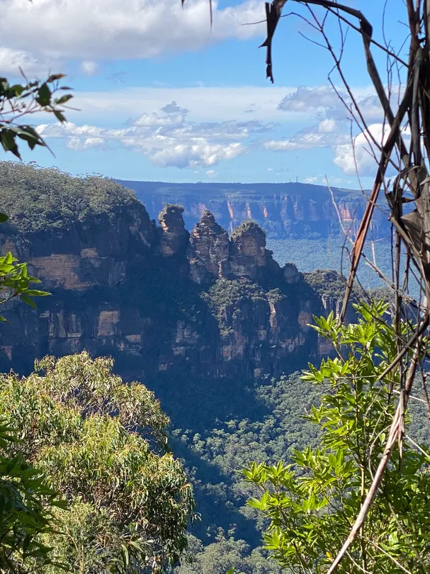 4_Scenic World
