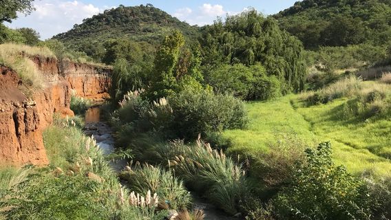 Johannesburg South