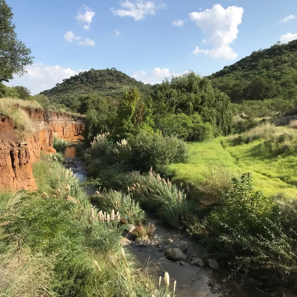 Hotels near Klipriviersberg Nature Reserve