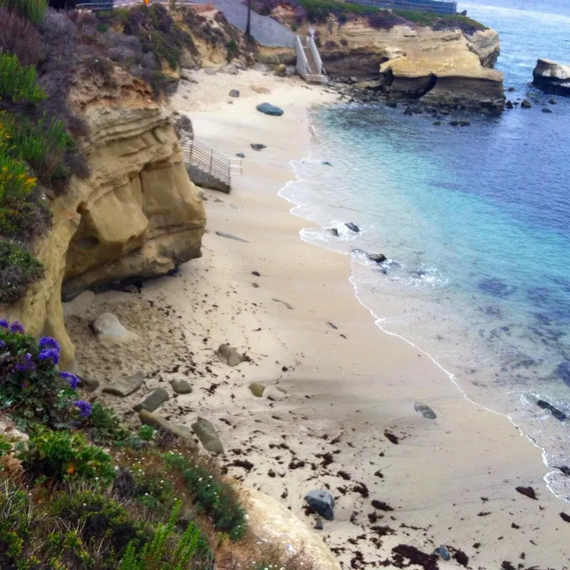 4_Torrey Pines State Natural Reserve