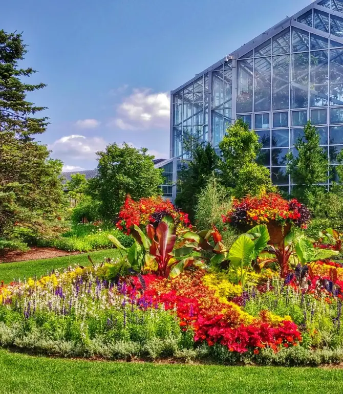 Grand Rapids charter Township