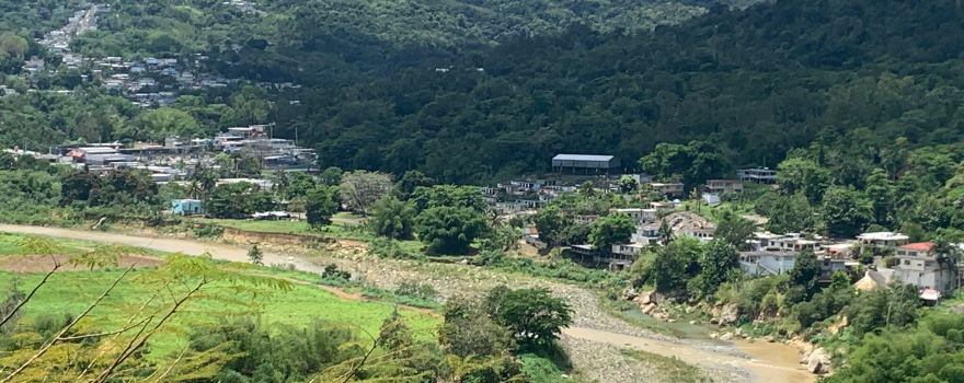 Ciales