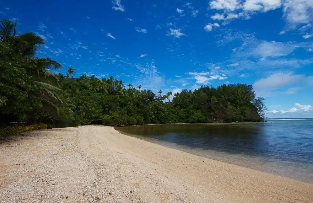 Hotels near Ene'io Botanical Garden