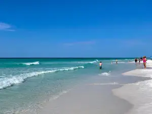 Henderson Beach State Park