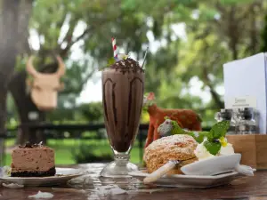 Birdwoods Havelock North