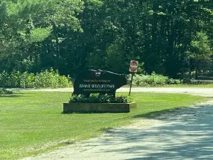 Maine Wildlife Park