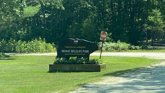 Maine Wildlife Park