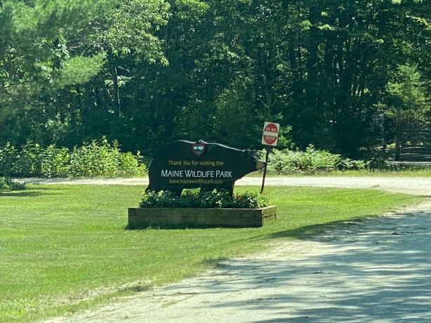 Maine Wildlife Park