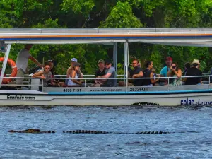 Solar Whisper Wildlife and Crocodile Cruises on the Daintree river