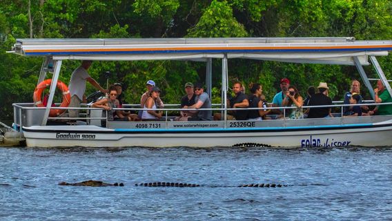 Solar Whisper Wildlife and Crocodile Cruises on the Daintree river