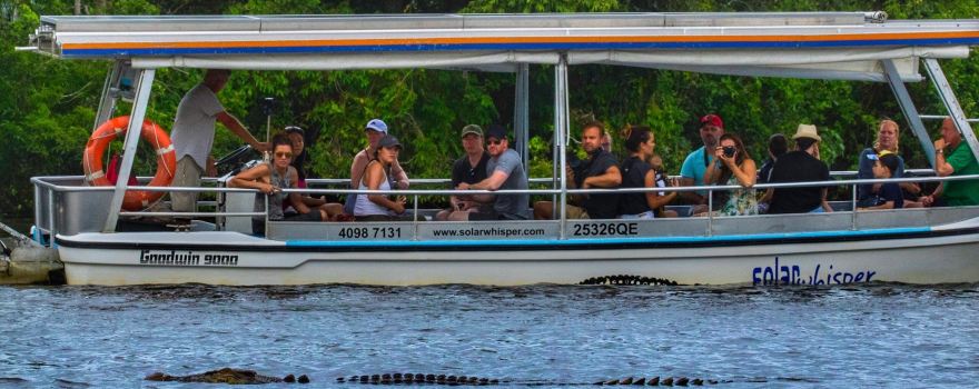Solar Whisper Wildlife and Crocodile Cruises on the Daintree river