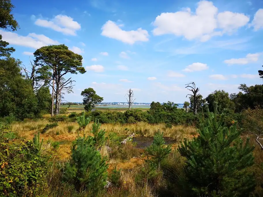Hotels near RSPB Arne