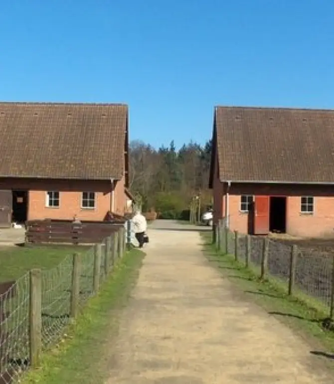 Brasschaat