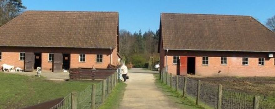Brasschaat