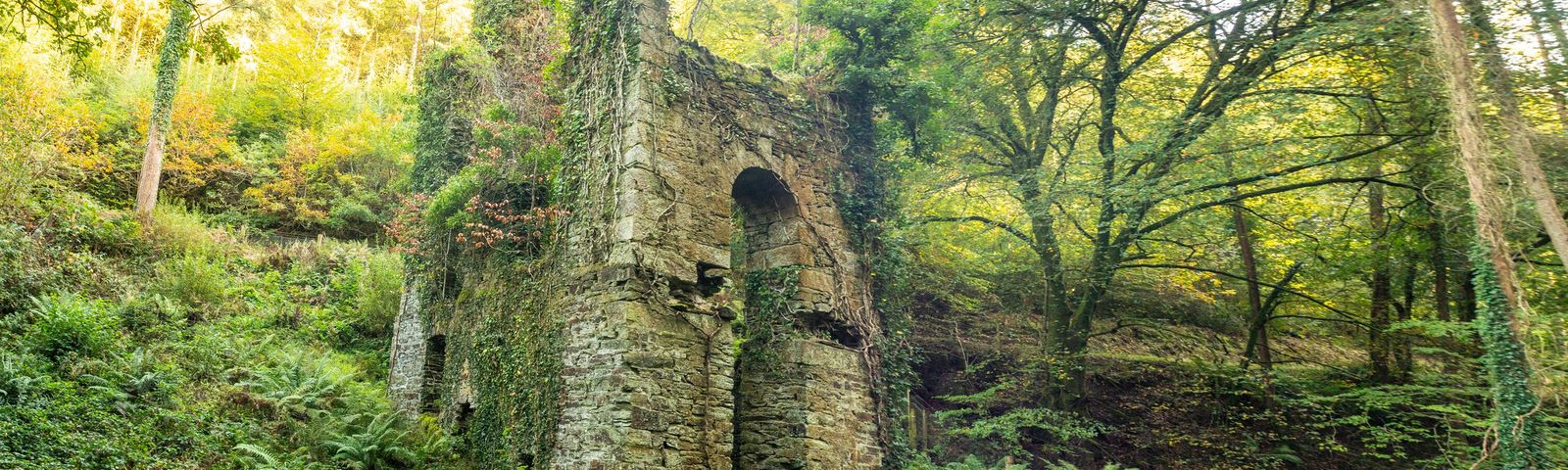 BodminWater activities