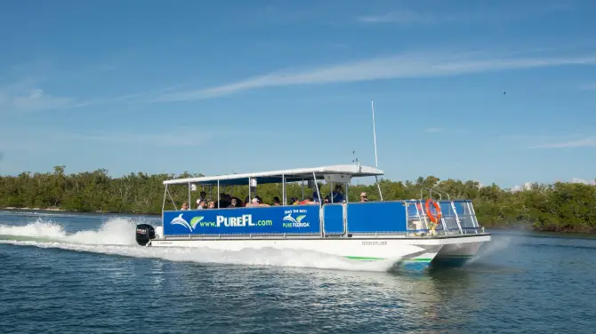 Pure Florida Tickets Opening - 0HJ6212000h9lb6emFF43 C 670 376 Q70.webp