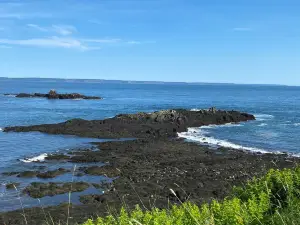 Quoddy Head State Park