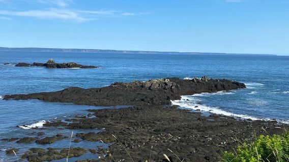 Quoddy Head State Park
