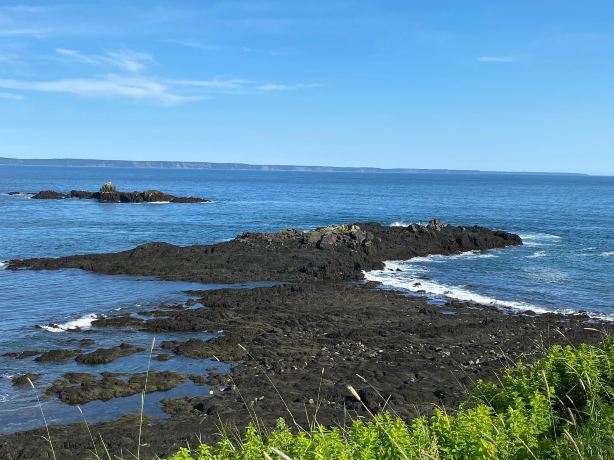 Quoddy Head State Park