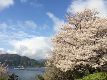 Yawatahama