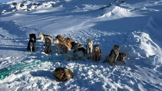 World of Greenland