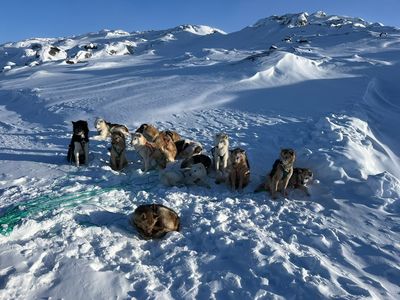 World of Greenland