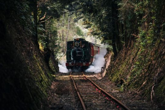 Regatta Point Station (West Coast Wilderness Railway)