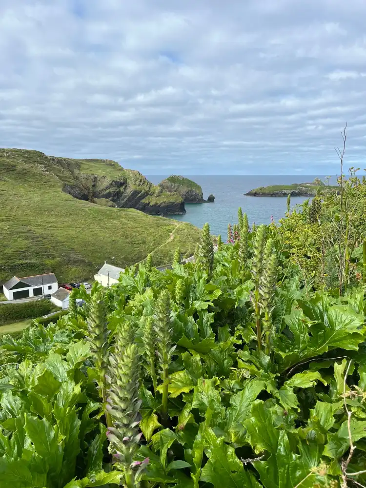 Mullion