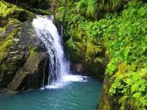 Zeleni Vir, water spring