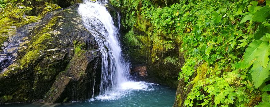 Zeleni Vir, water spring