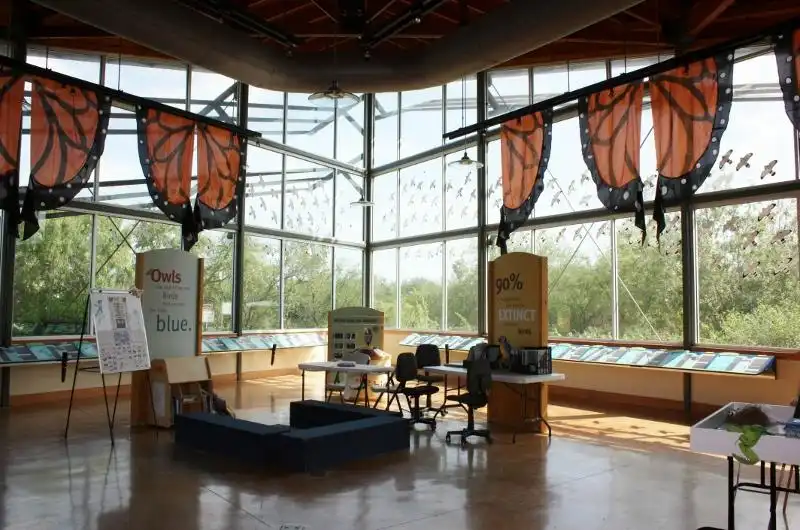 Hotels near Edinburg Scenic Wetlands & World Birding Center